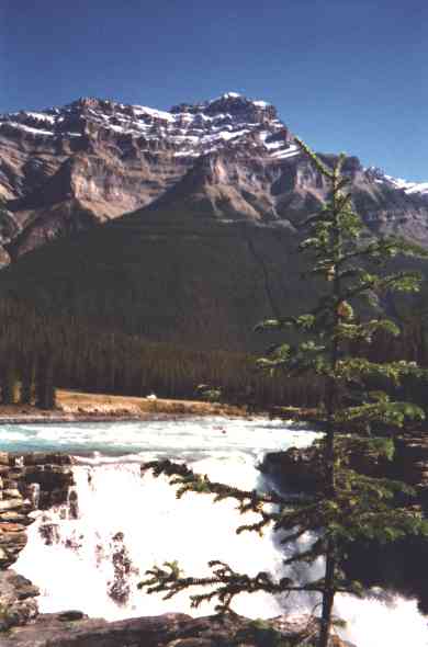 athabasc.jpg (38307 Byte)